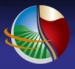 PalmBay International