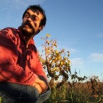 ivo-ferreira-vigne-montpeyroux