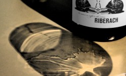 riberach synthese vin belesta