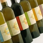 6bouteilles-arpents-du-soleil