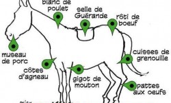 Viande de cheval ou de boeuf