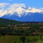 latourdefrance-vignes-canigou