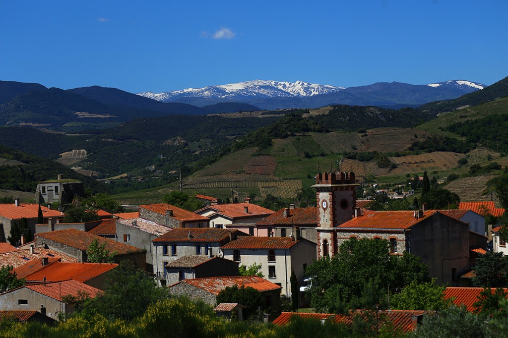 planezes-village-vigne-roussillon