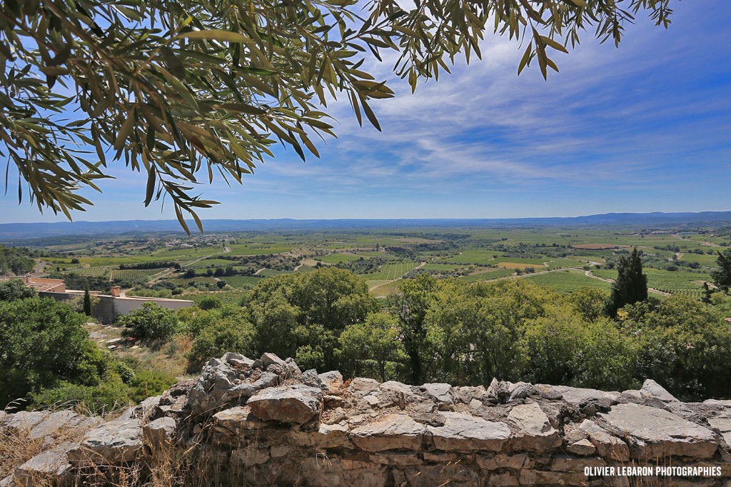 panorama arboras montpeyroux languedoc