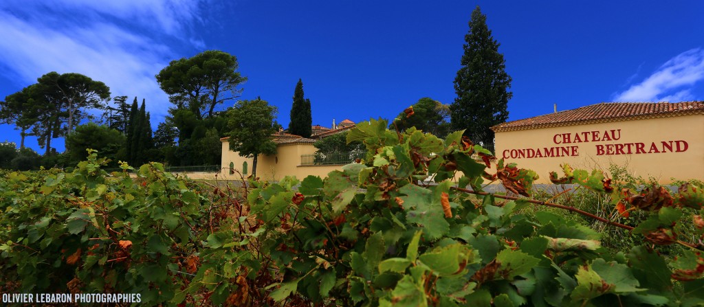 chateau condamine bertrand pézenas languedoc domaine viticole