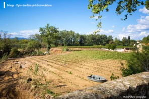 inondation montagnac pézenas hérault vigne