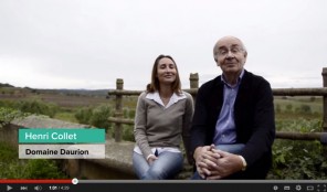 vidéo transmission père fille vigneron daurion pézenas