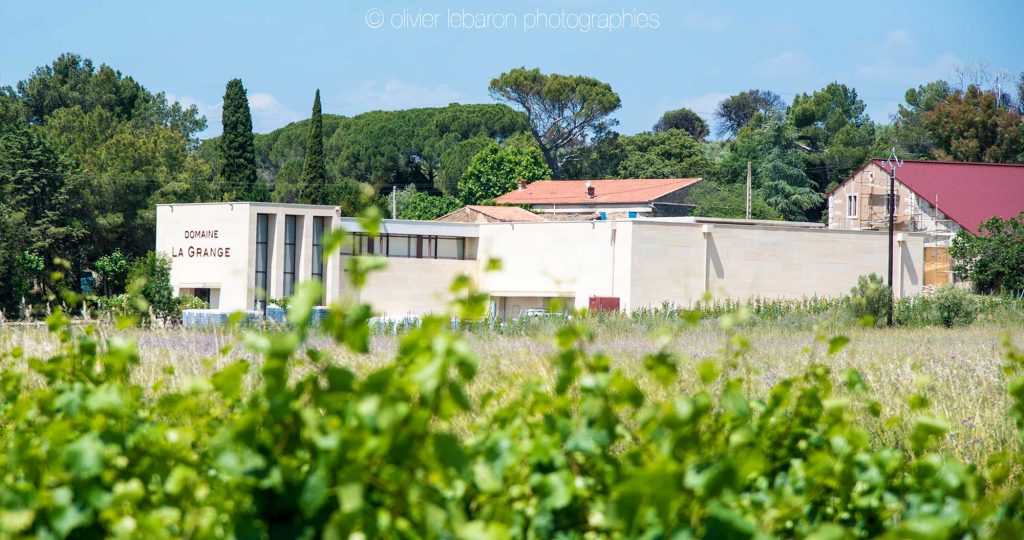 vignoble pezenas fouzilhon