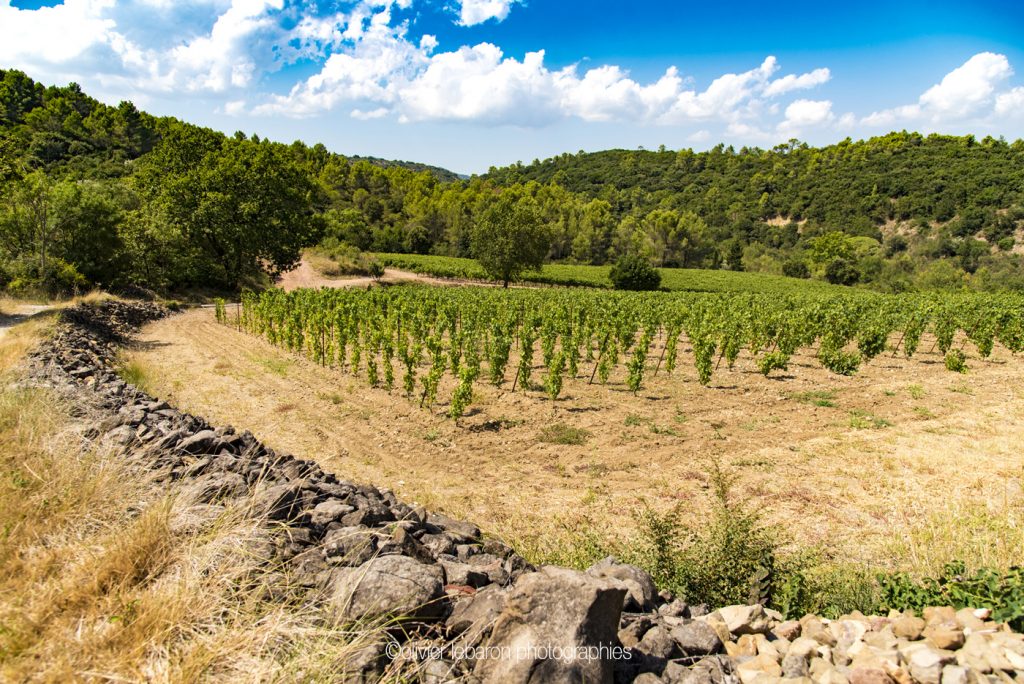 terroir basalte pezenas