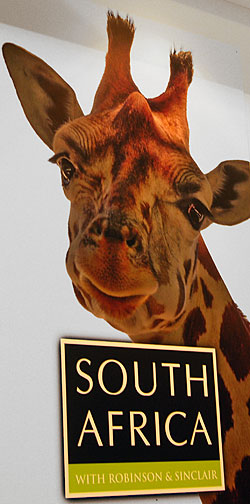 giraf south africa Vinexpo à Bordeaux expose l’art a des manières