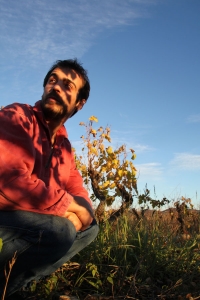 Domaine de l’Escarpolette, Ivo Ferreira, vigneron funambule à Montpeyroux