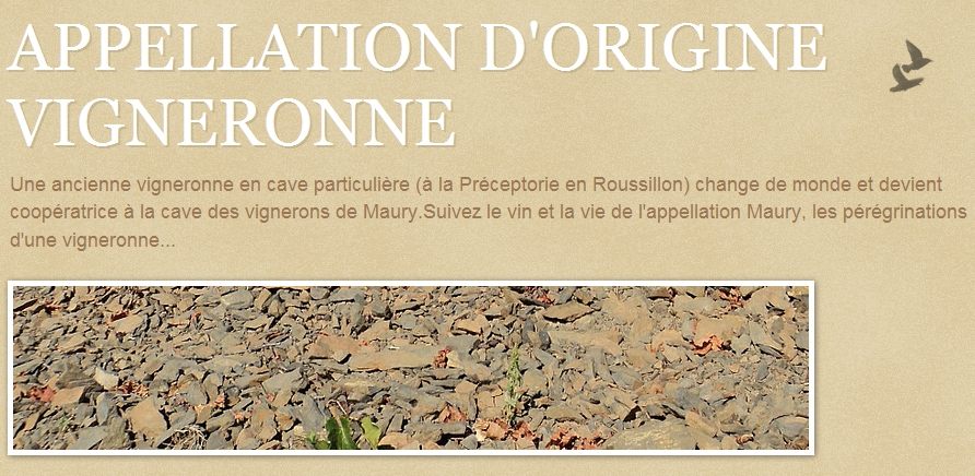 VdV52 Aurélie Pereira, vigneronne en appellation d’origine, oui mais à la cave coopérative de Maury