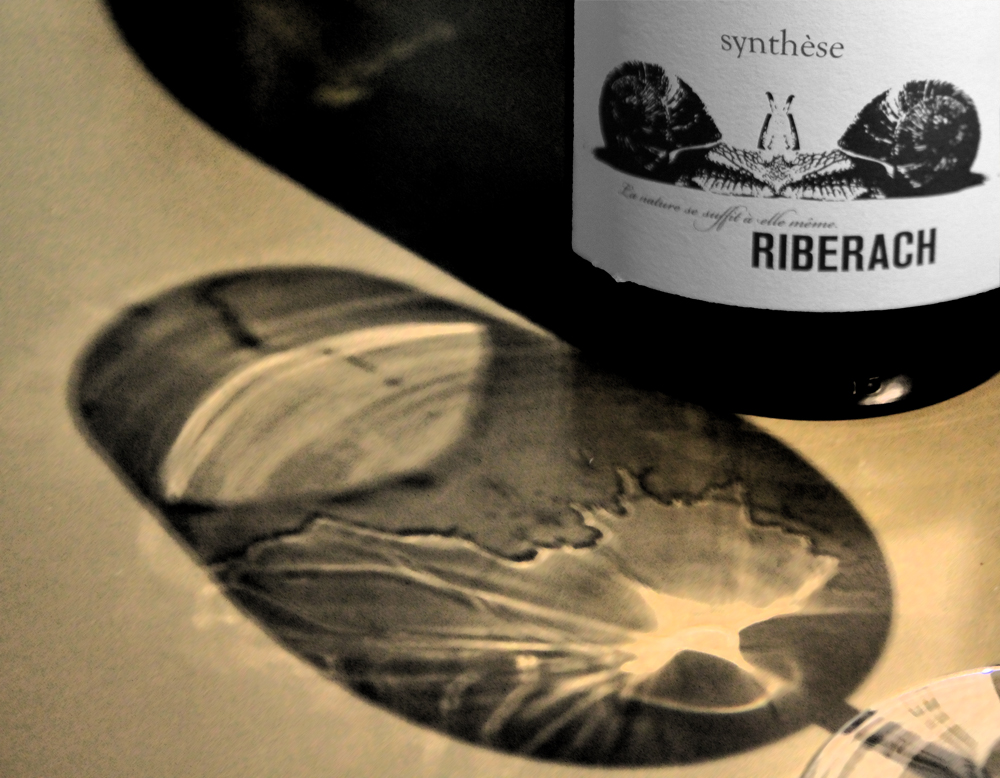 riberach synthese vin belesta