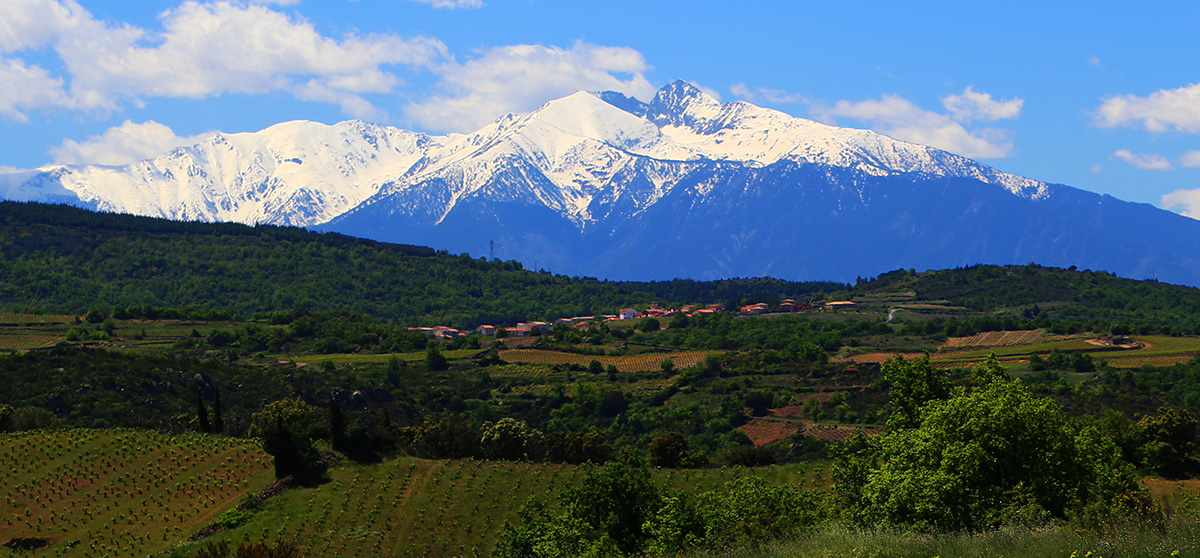 Au pied des Pyrénées et du Canigo(u), de Belesta à Maury, le Roussillon recèle un terroir magique