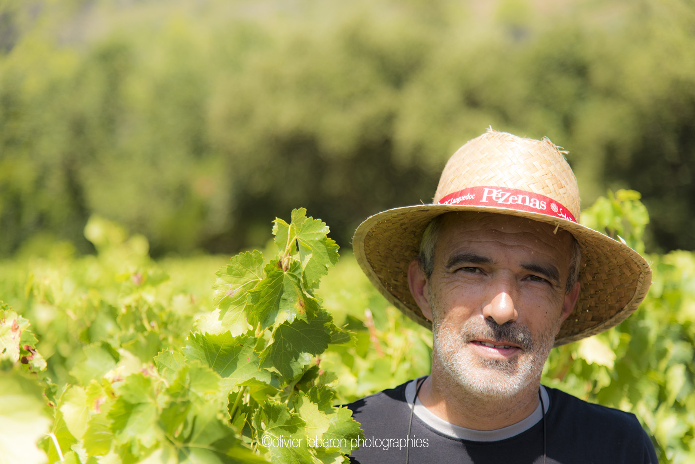 Hervé Tabar, domaine de Bellefontaine, un vigneron unique à l’extrémité de l’appellation Pézenas