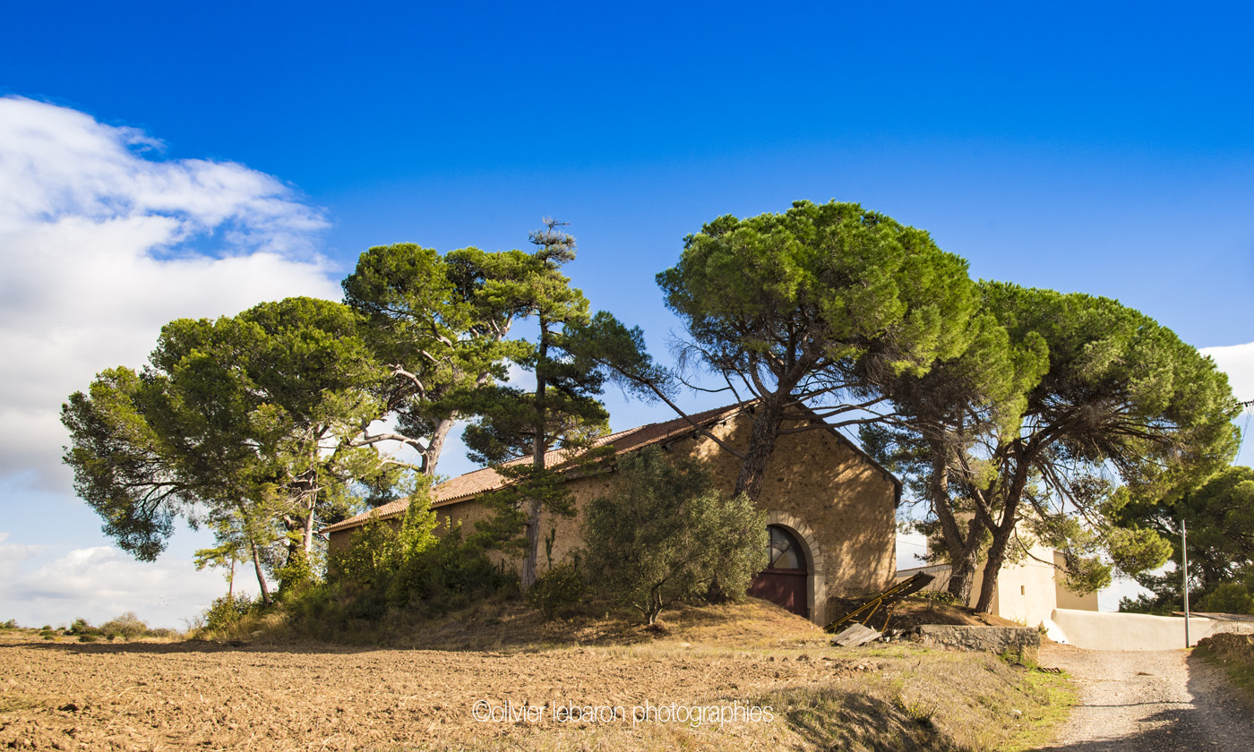 domaine viticole pezenas